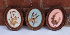 Vintage framed pressed for sale  LEAMINGTON SPA
