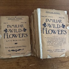 Wild familiar flowers for sale  FARNHAM