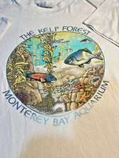 Vtg hanes kelp for sale  Lithia Springs