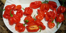 Habanero tobago seasoning usato  Italia