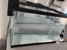 fish tanks fish for sale  Woodbridge