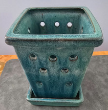 Orchid aqua blue for sale  Wolfeboro