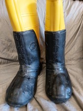 Phoenix prisma gummistiefel gebraucht kaufen Phoenix prisma gummistiefel gebraucht kaufen  Stuttgart