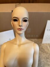 Sartoria msd bjd for sale  Albany