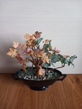Bonsai tree like for sale  BELFAST