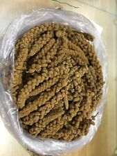 Millet spray parrots for sale  Atlanta