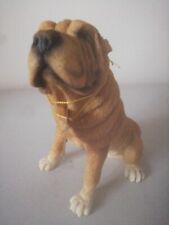 Shar pei dog for sale  FAREHAM