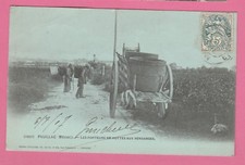 Pauillac porteurs hottes d'occasion  Grièges