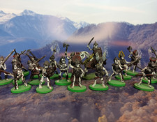 Grenadier skeleton warriors usato Grenadier skeleton warriors usato  Torino