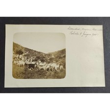 Cartolina fotografica lisandro usato  Alessandria