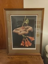 Framed matted john for sale  Rossville