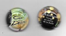 Lot caps crémant d'occasion  Sens