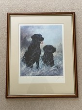 john trickett for sale john trickett for sale FERNDOWN