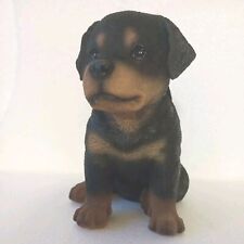 Rottweiler puppy dog for sale  BALLYMENA