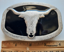 Texas longhorn steer for sale  New Port Richey