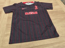 Liverpool nike lebron for sale  SHEFFIELD