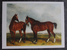Postkarte kunst pferd gebraucht kaufen  Limburg a. d. Lahn
