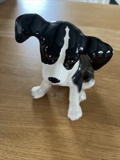 Border collie puppy for sale  DONCASTER