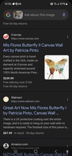 16x20 cream butterfly for sale  Bartow