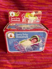 Strawberry shortcake berry for sale  Palos Park
