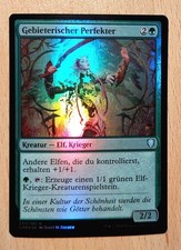 Mtg magic foil gebraucht kaufen  Schorndorf