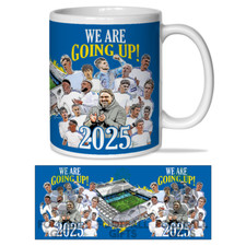Leeds utd promoted for sale  NOTTINGHAM