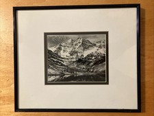 Ansel adams maroon for sale  Dwight