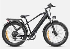 Fat bike engwe usato  Settimo Milanese