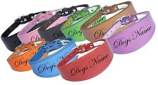 Dog collar name for sale  DONCASTER