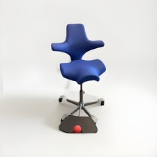 Håg capisco 8106 gebraucht kaufen  Berg