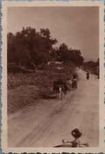 Grèce âne porteur d'occasion  Pagny-sur-Moselle
