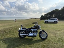 Harley davidson sportster for sale  BRIDLINGTON