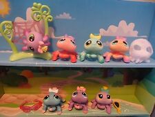 Petshop araignee differents d'occasion  Bailleul