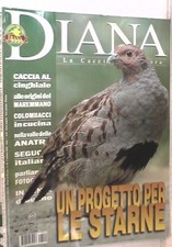 Diana 2002 caccia usato  Salerno