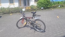 Mckenzie mountain bike gebraucht kaufen  Rüsselsheim am Main
