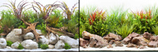 Poster fond aquarium d'occasion  Krautergersheim