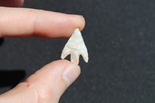 Préhistoire néolithique poin d'occasion  Vern-sur-Seiche
