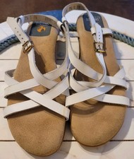 Bass margie sunjuns for sale  Rockport