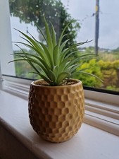 Artificial plant orche for sale  COOKSTOWN