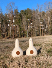 Purple martin gourd for sale  Lenoir