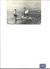 Carte postale lac d'occasion  Pons