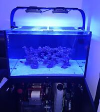 Red sea reefer for sale  Flushing