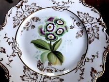 Antique botanical plates for sale  ROGART
