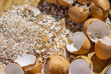 1.4 crushed chicken for sale  NOTTINGHAM