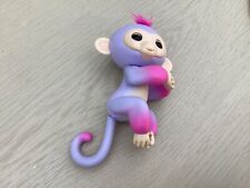 Purple fingerlings sloth for sale  INVERNESS
