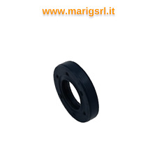 Paraolio anello tenuta usato  Vallo della Lucania