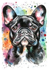 Acquerello bulldog francese usato  Napoli