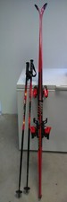 Ski fischer race gebraucht kaufen  Grabfeld