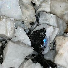 1000 carat lots for sale  Harrison City