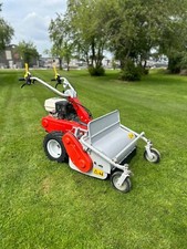 Pedestrian flail mower for sale  EVESHAM